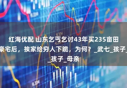 红海优配 山东乞丐乞讨43年买235亩田并建豪宅后，挨家给穷人下跪，为何？_武七_孩子_母亲